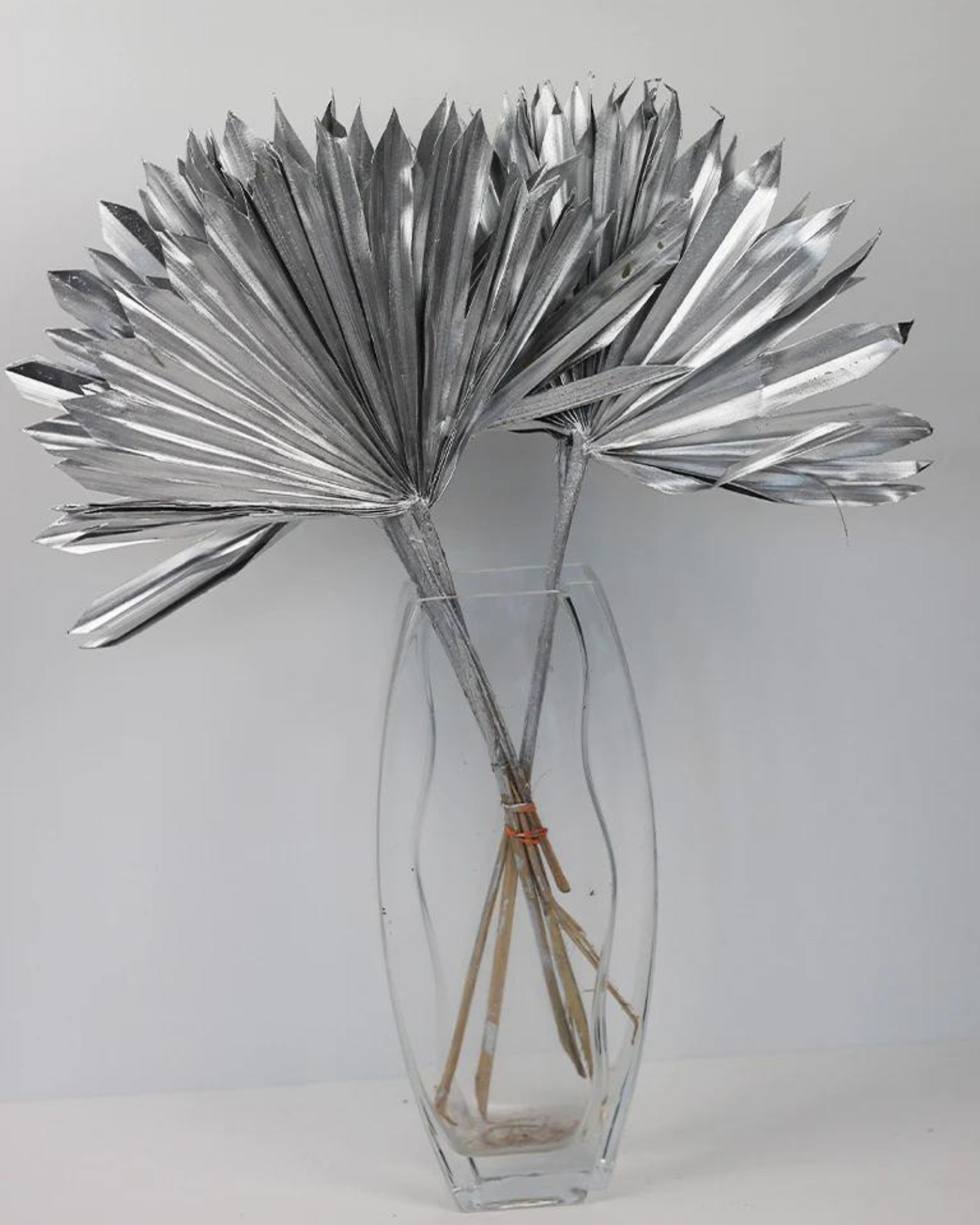 Dried Natural Palm Leaf Sun Spear
