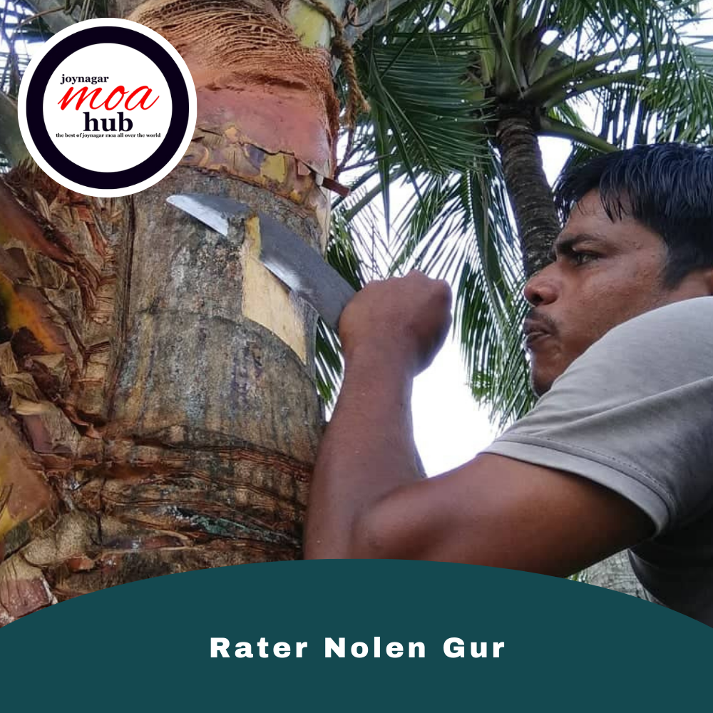 Rater Nolen Gur
