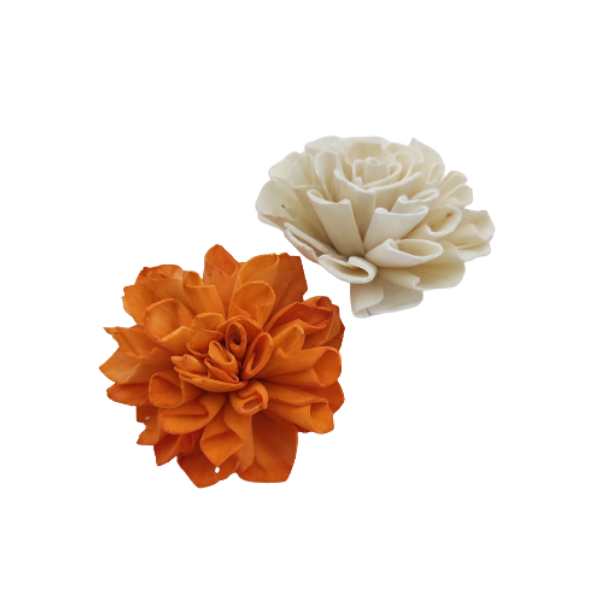 Dahlia Sola Wood Flower