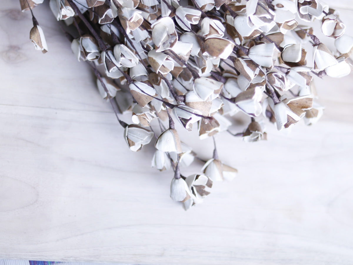 Sola Wood Skin Lily Flower Stick