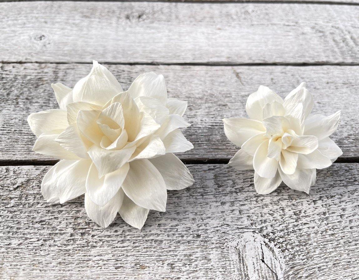 Beth Sola Wood Flower