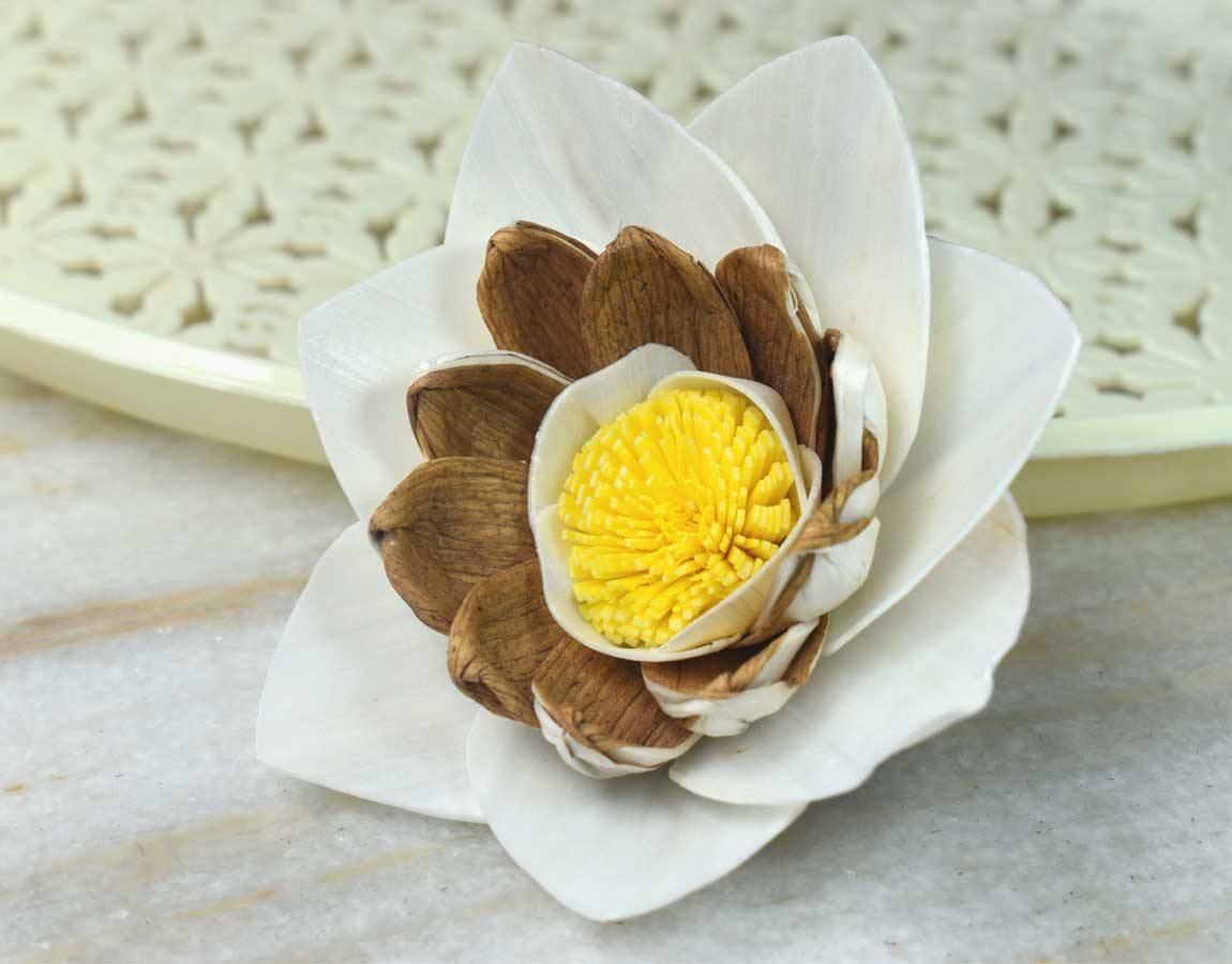 Briony Sola Wood Flower