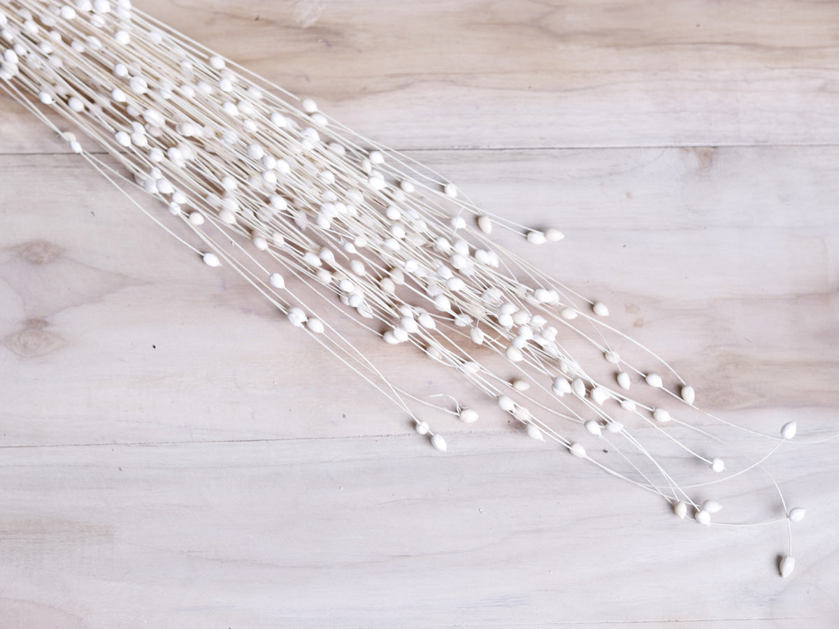 Coco Pearl Filler