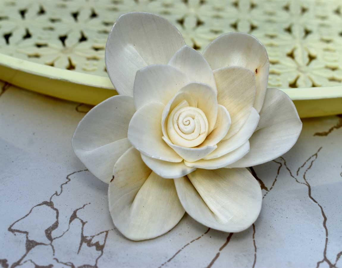 Fleur Sola Wood Flower