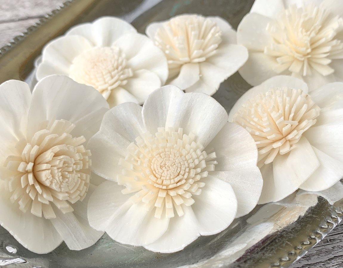 Apple Blossom Sola Wood Flower