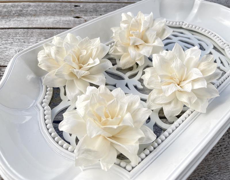 Cornelie Sola Wood Flower