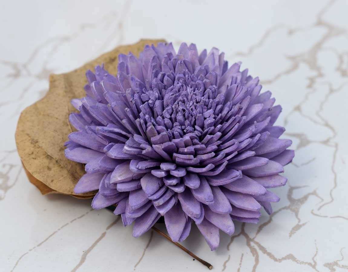Wild Zinnia Sola Wood Flower