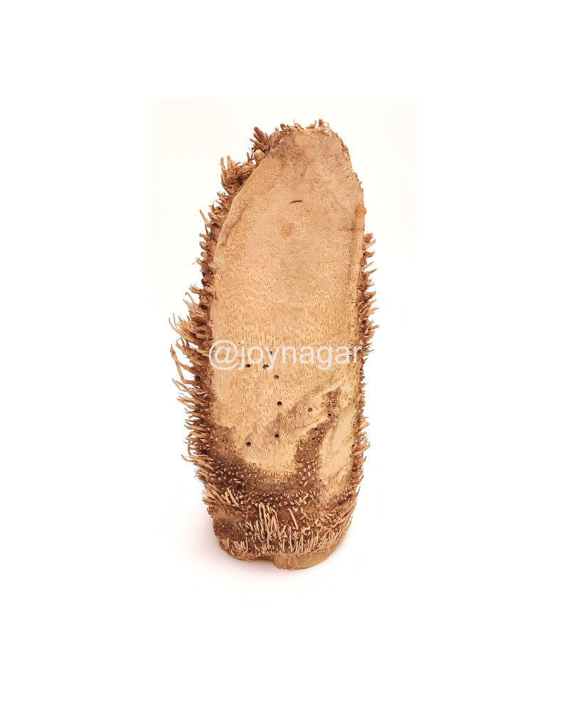 Bamboo Root Natural Handmade Ganesh Murti