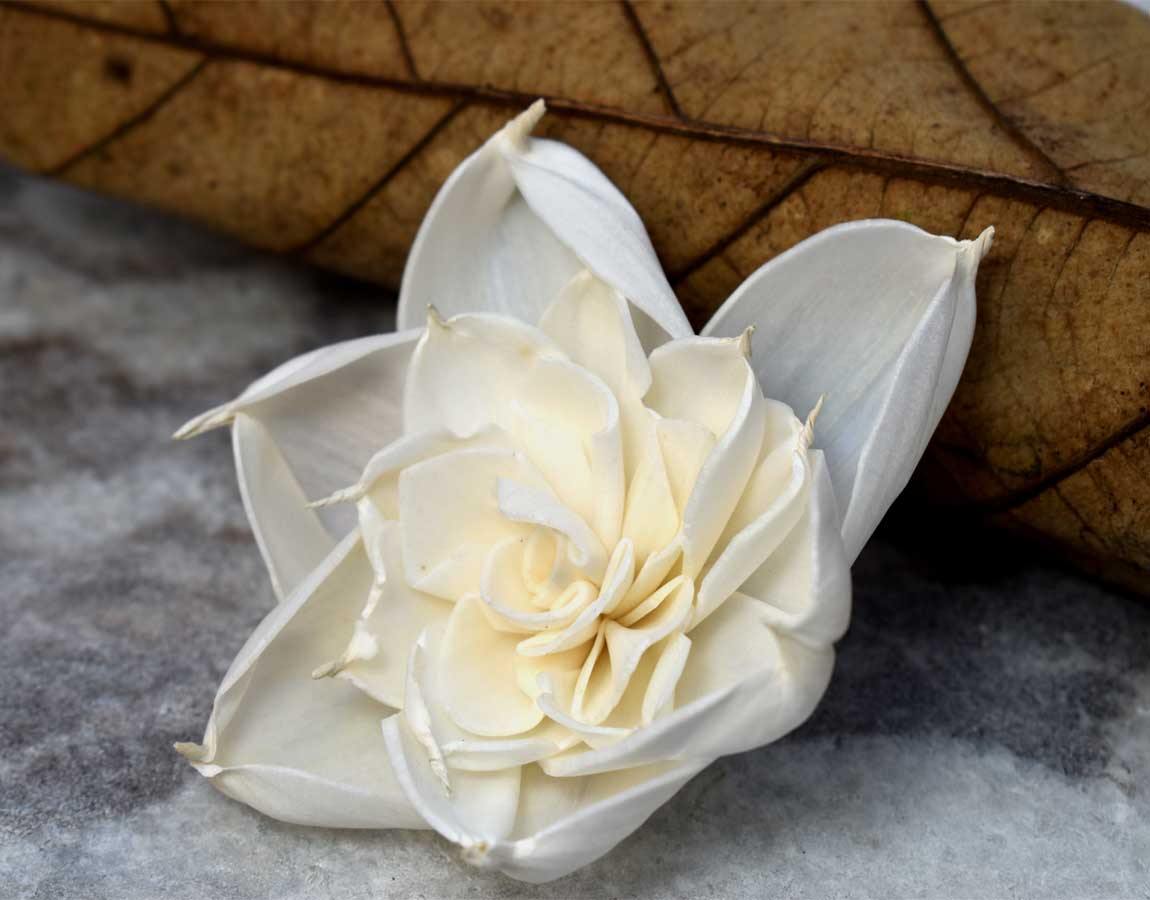 Amber Sola Wood Flower