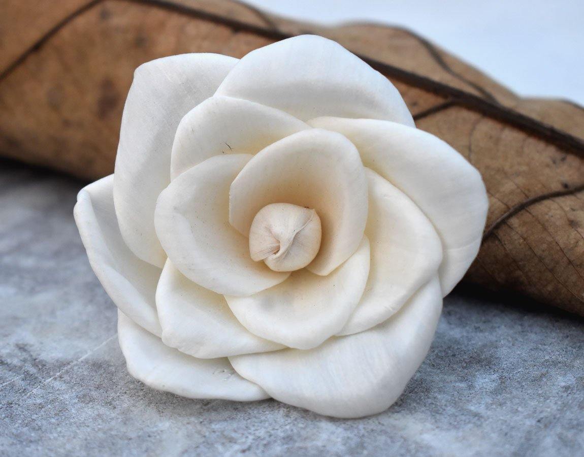 Basil Sola Wood Flower
