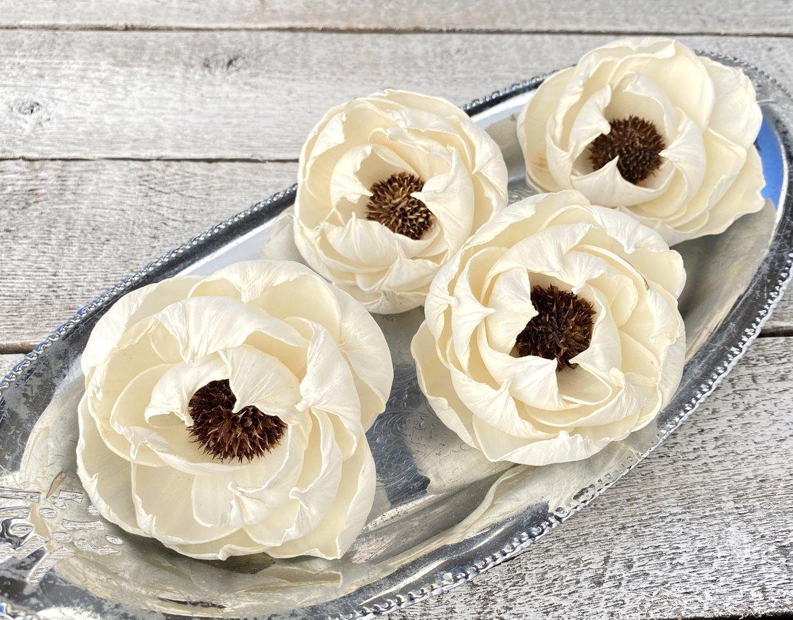 Black Pearl Sola Wood Flower