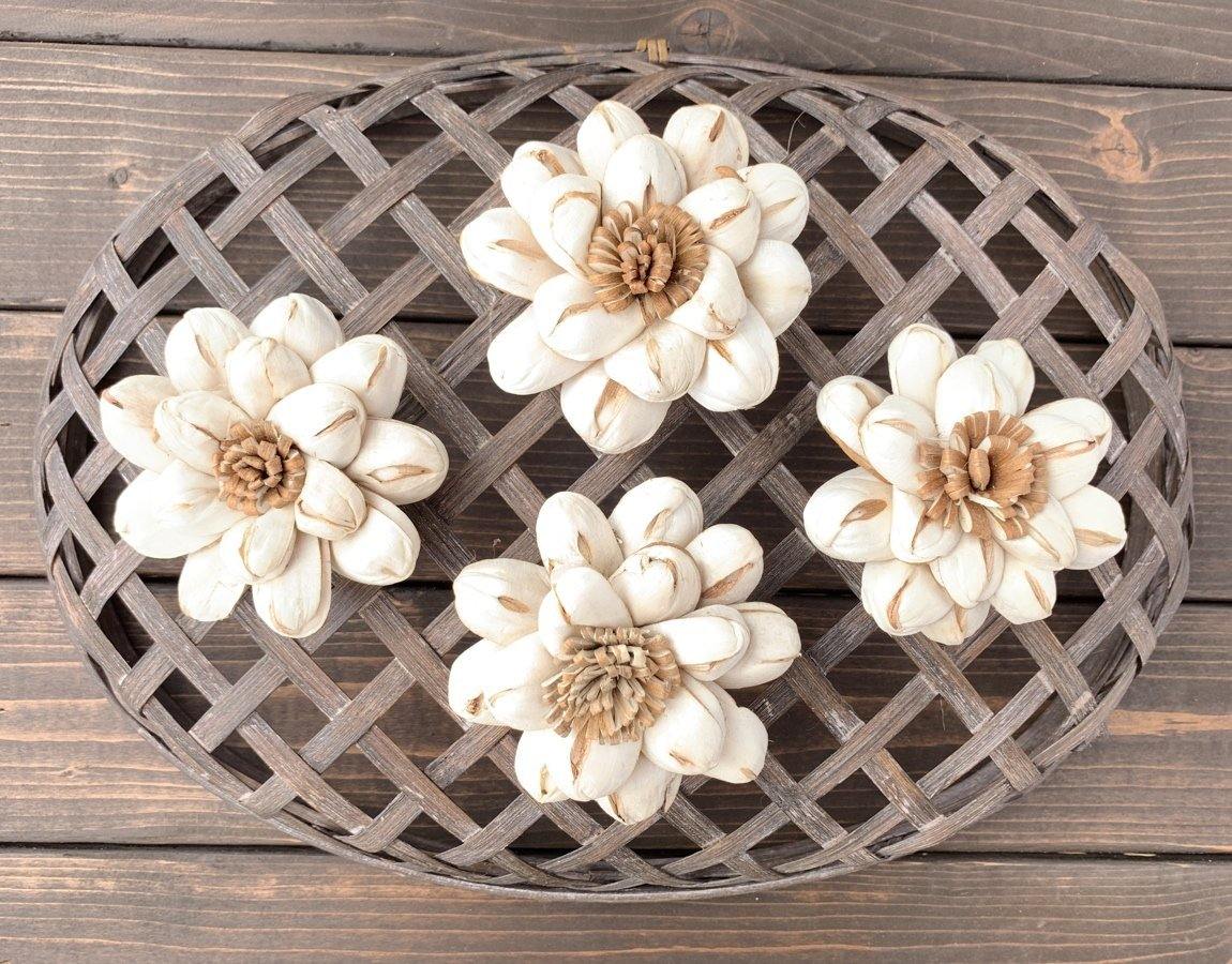 Chocolate Sun Sola Wood Flower