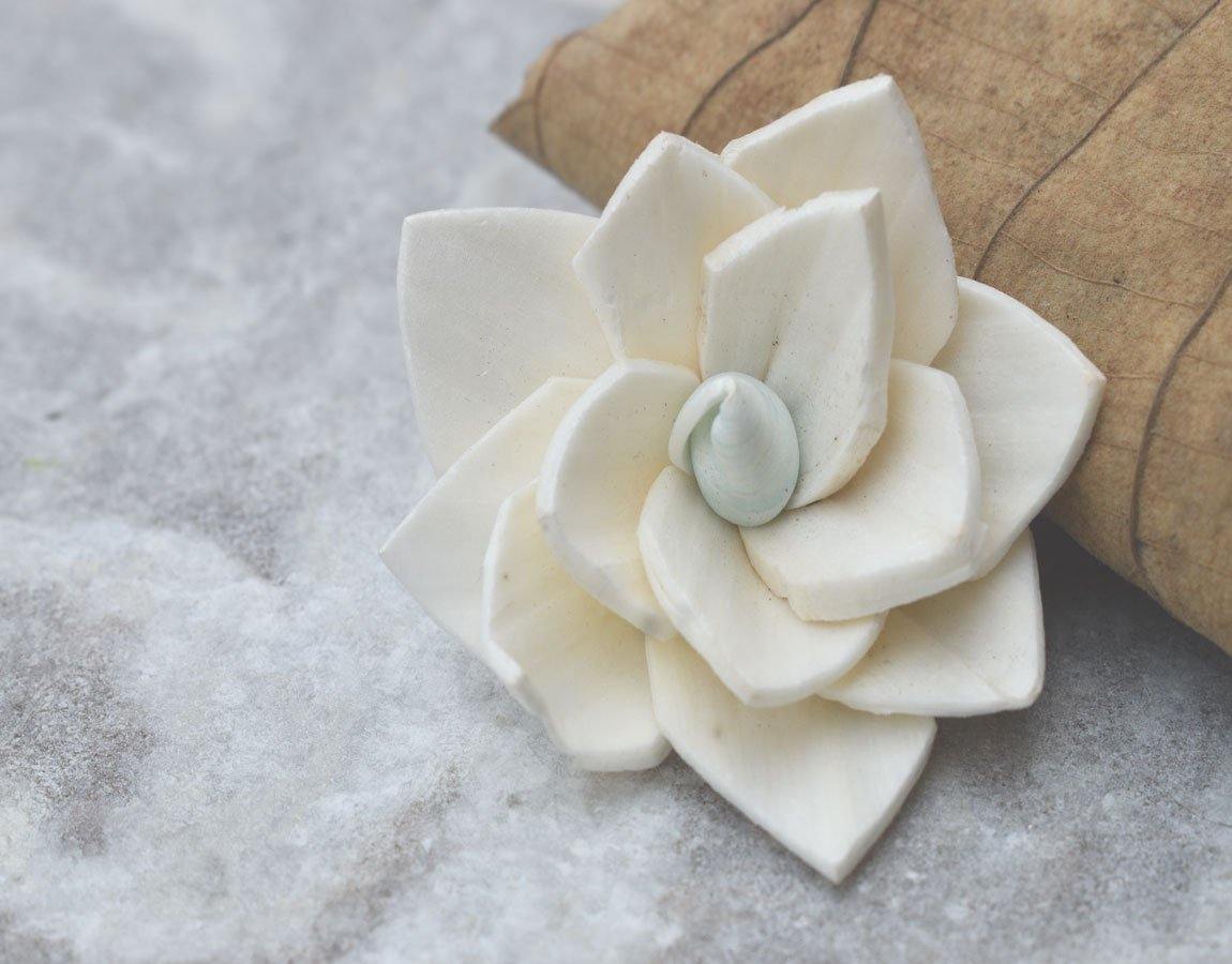 Kalina sola wood skin flowers