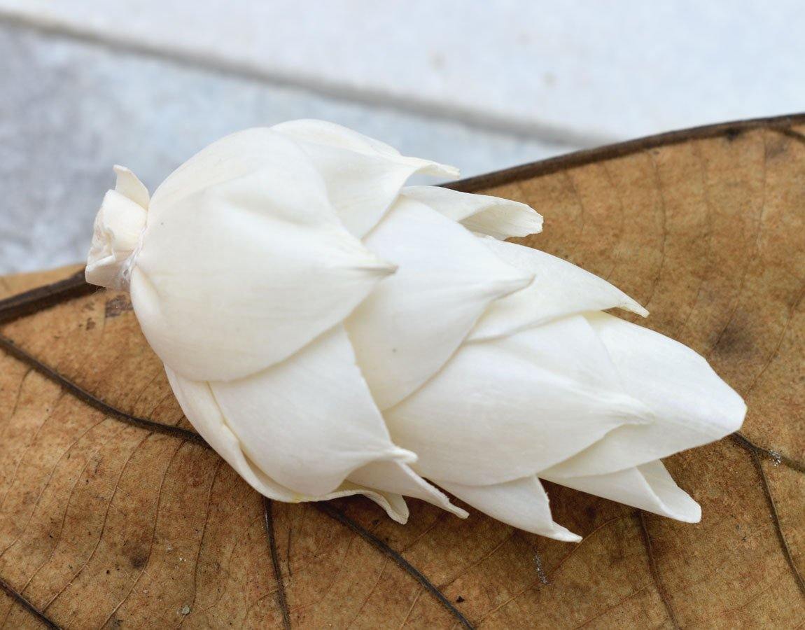 Leilani Pine Sola Wood Flower