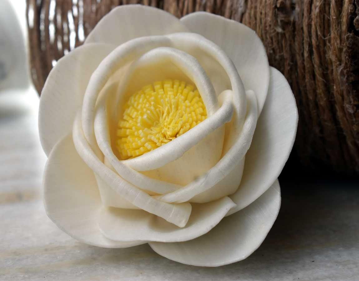 Musturd Rose Sola Wood Flower