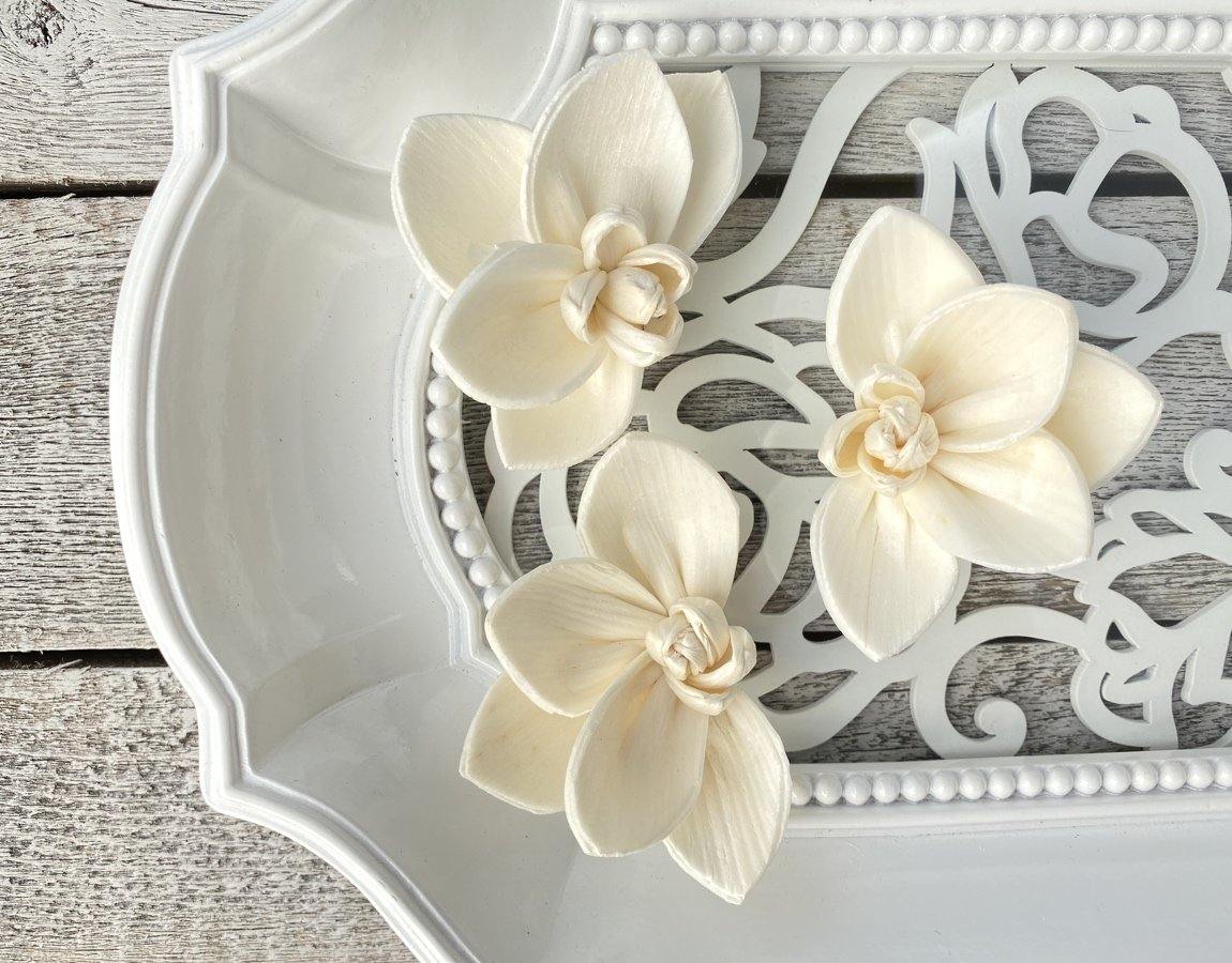 Orchid Sola Wood Flower
