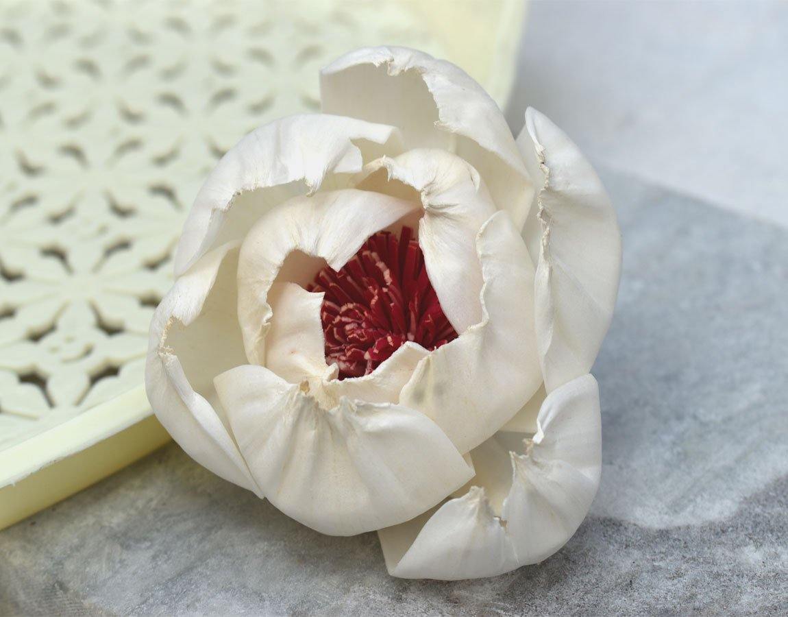 Peony Red Beauty Sola Wood Flower