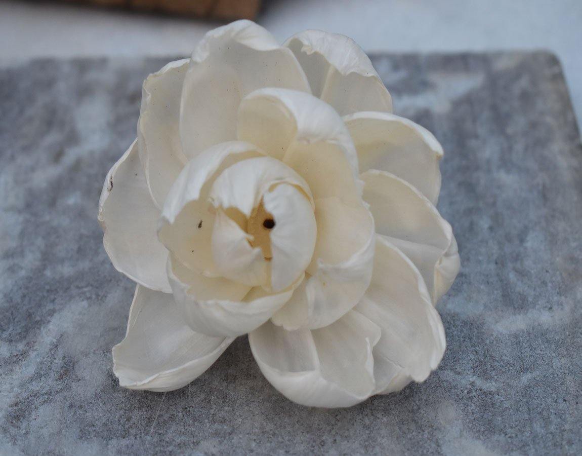Open Peony Sola Wood Flower