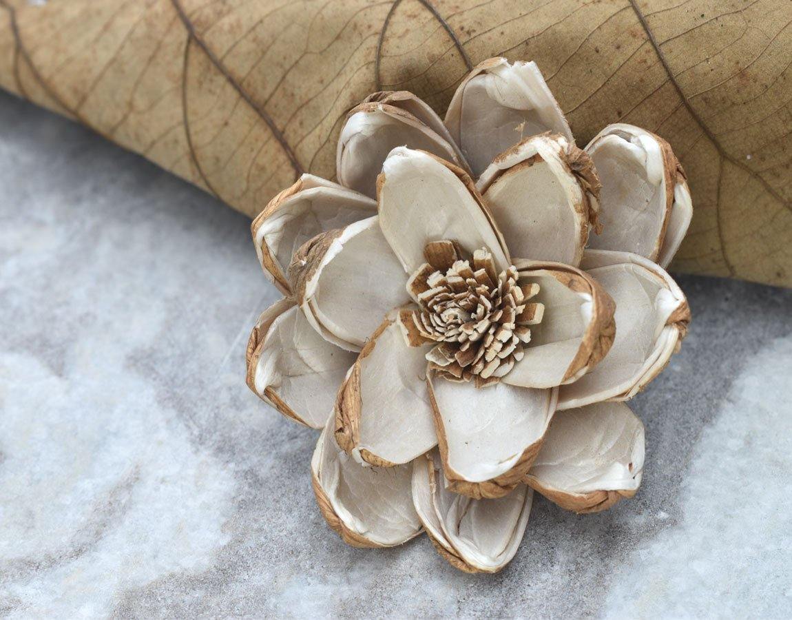 Senna Sola Wood Skin Flower