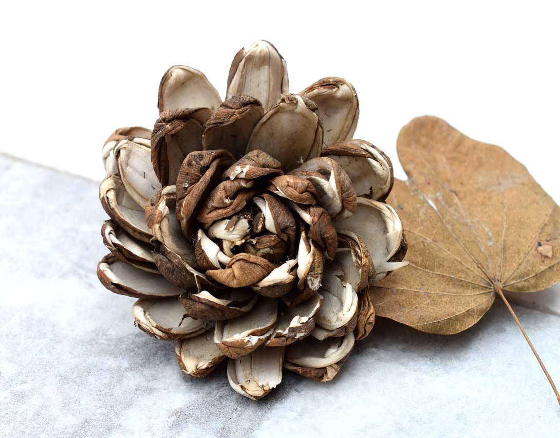 Skin Supernova Sola Wood Flower