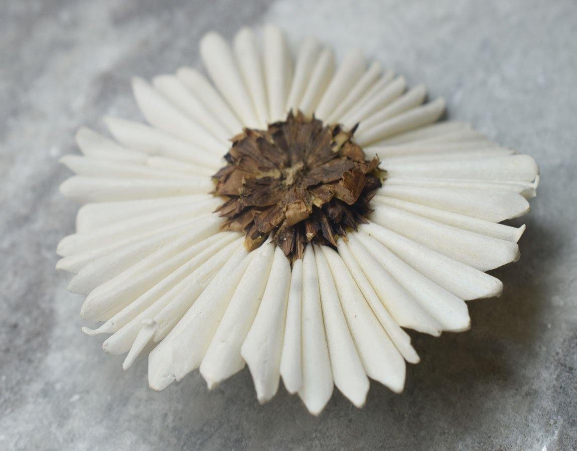 Sunflower Daisy Sola Wood Flower