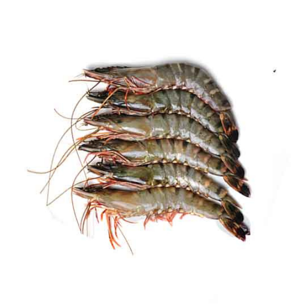 Fresh A Grade Sundarban Tiger Prawn/ Shrimp Unpeeled Frozen