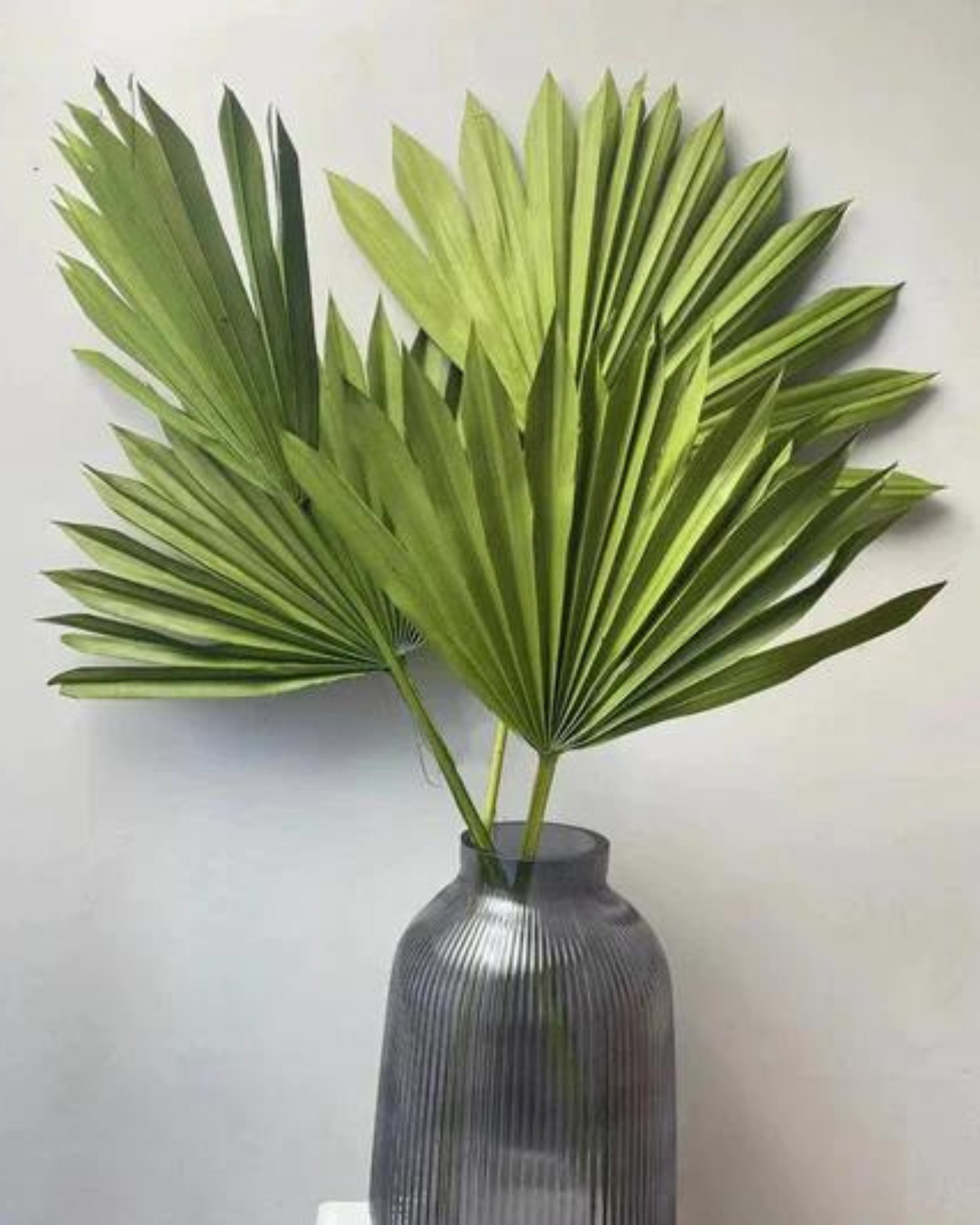 Dried Natural Palm Leaf Sun Spear