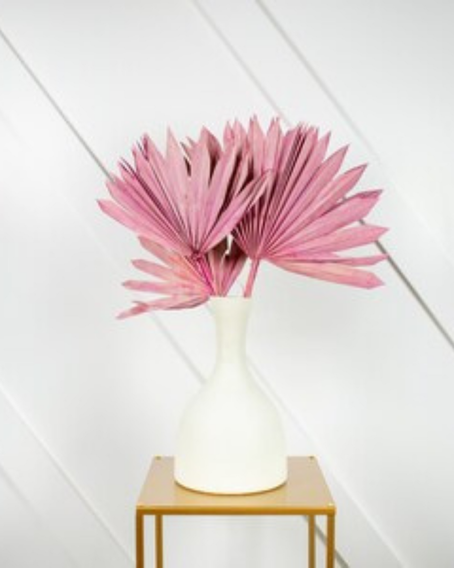 Dried Natural Palm Leaf Sun Spear