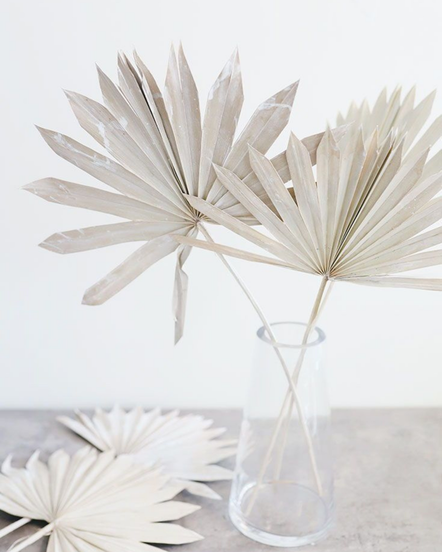Dried Natural Palm Leaf Sun Spear