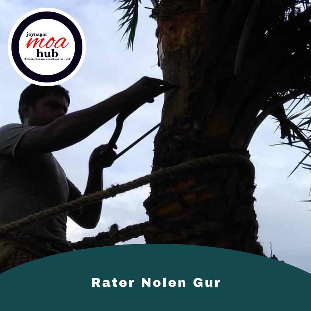 Rater Nolen Gur Time to cut trees
