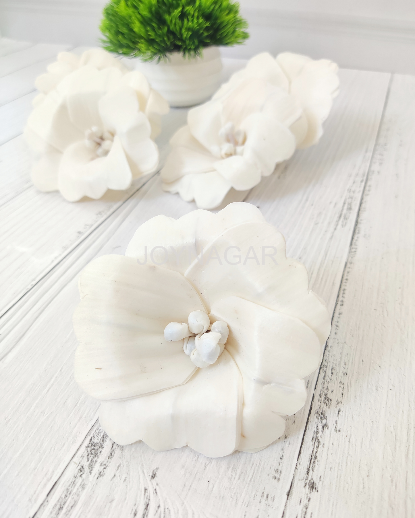 Hibiscus Sola Wood Flower