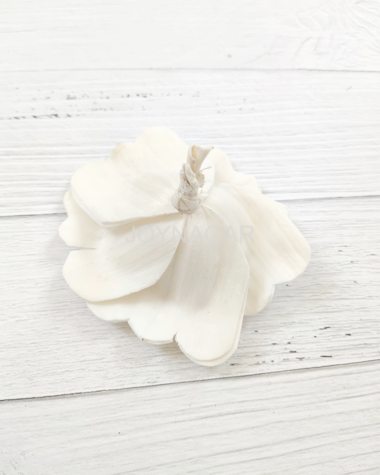 Hibiscus Sola Wood Flower