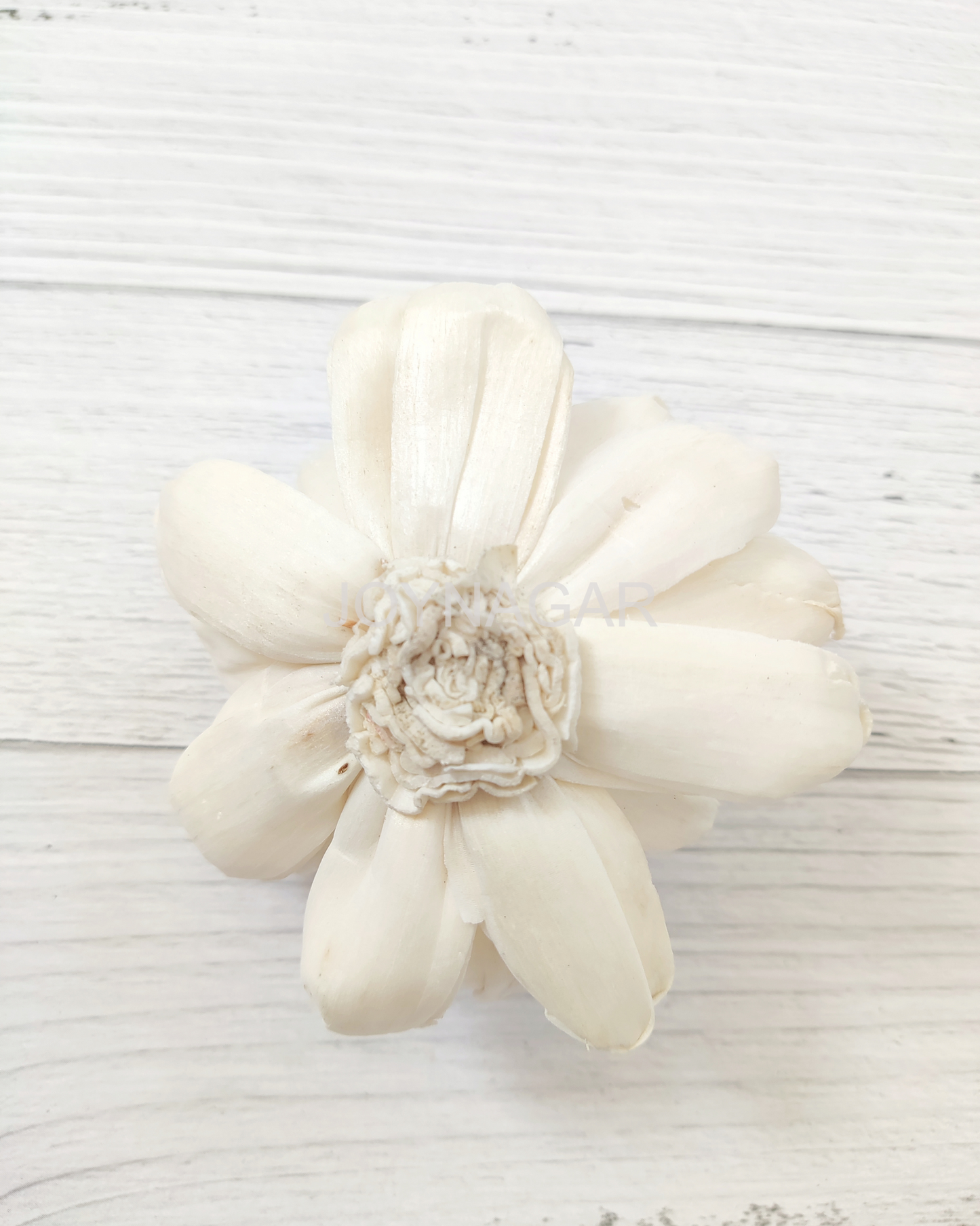Curl Beauty Sola Wood Flower