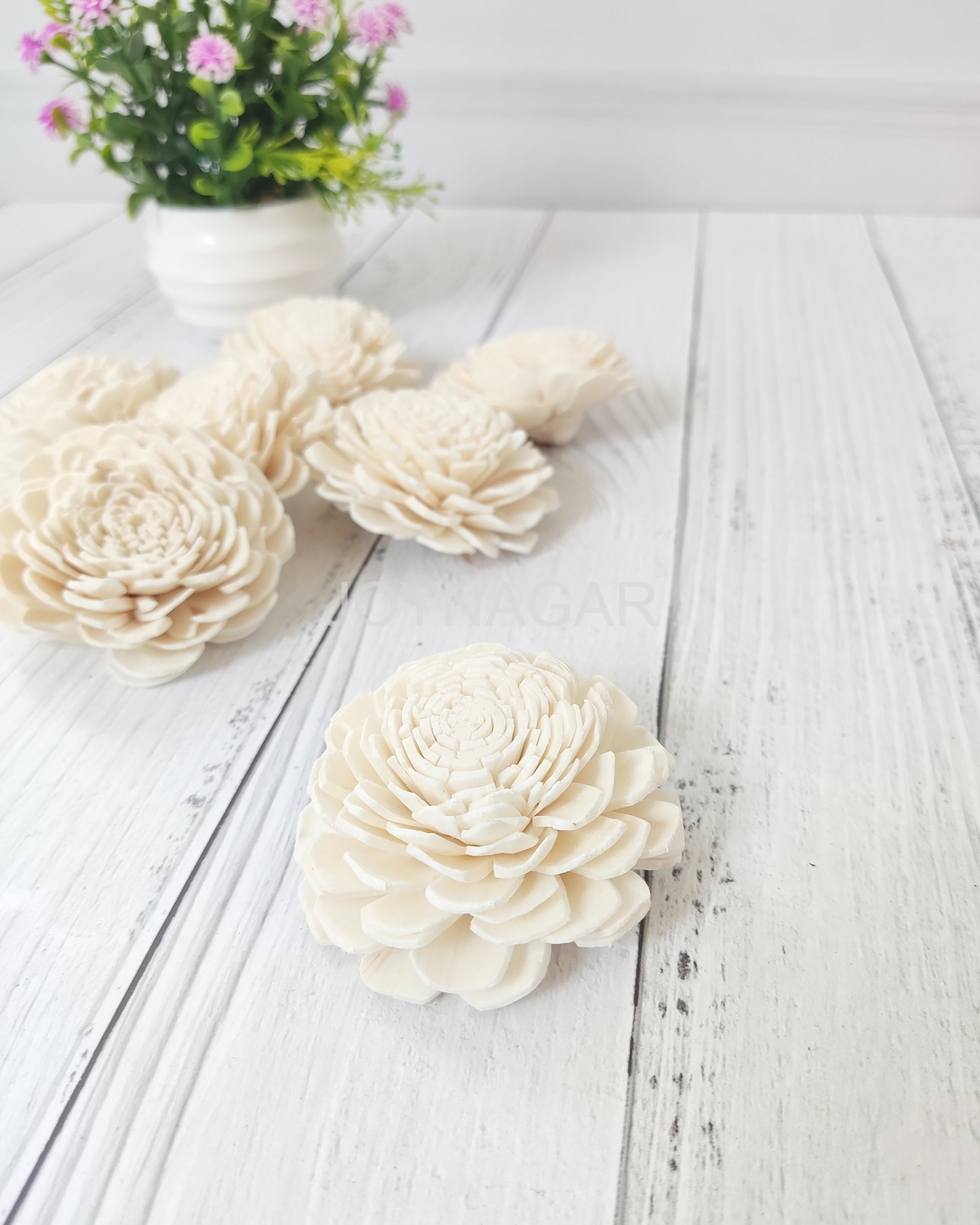 Belli Sola Wood Flower