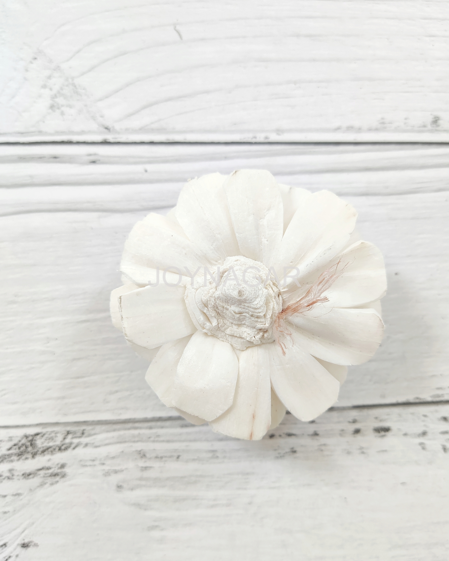 Belli Sola Wood Flower