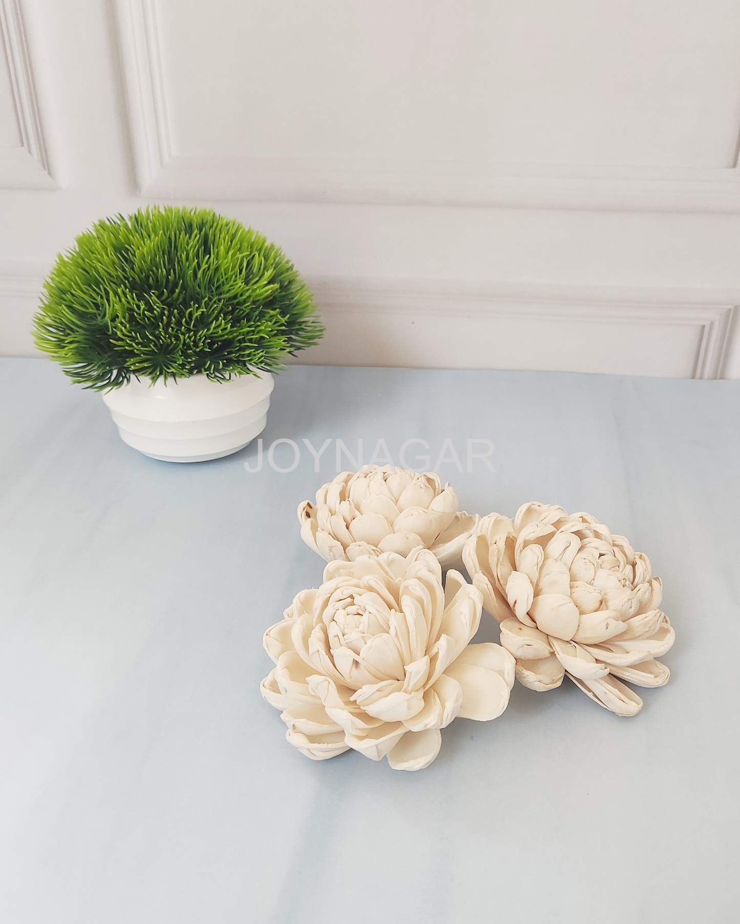 Curl Beauty Sola Wood Flower