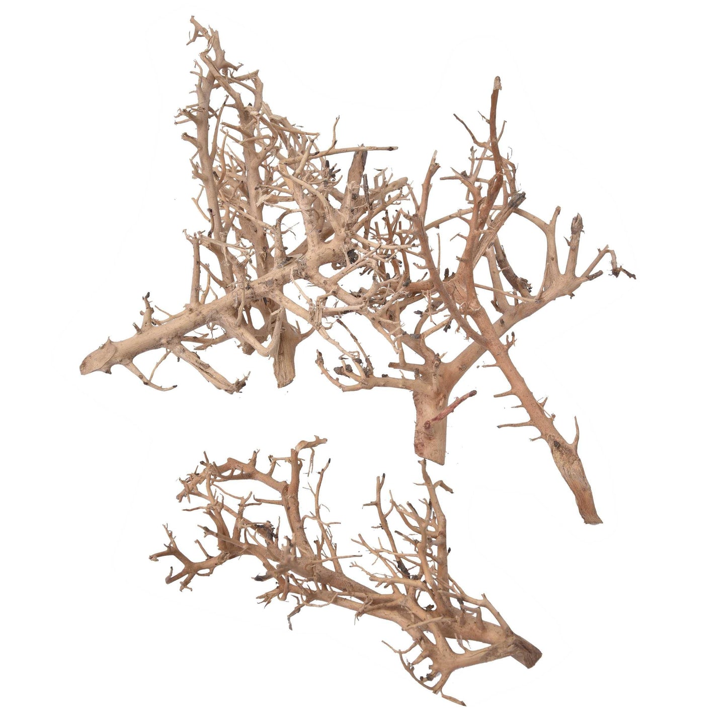 Natural  Dried White Bush