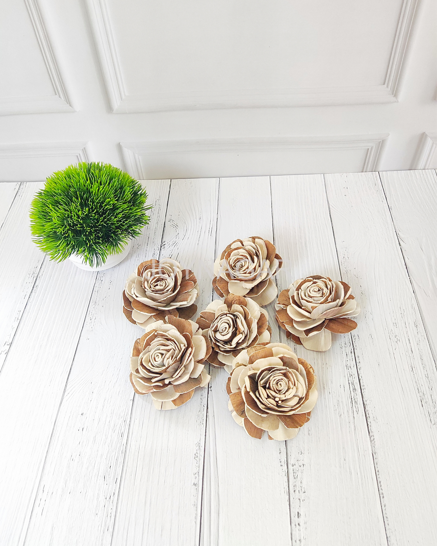 Raizel Sola Wood Flower