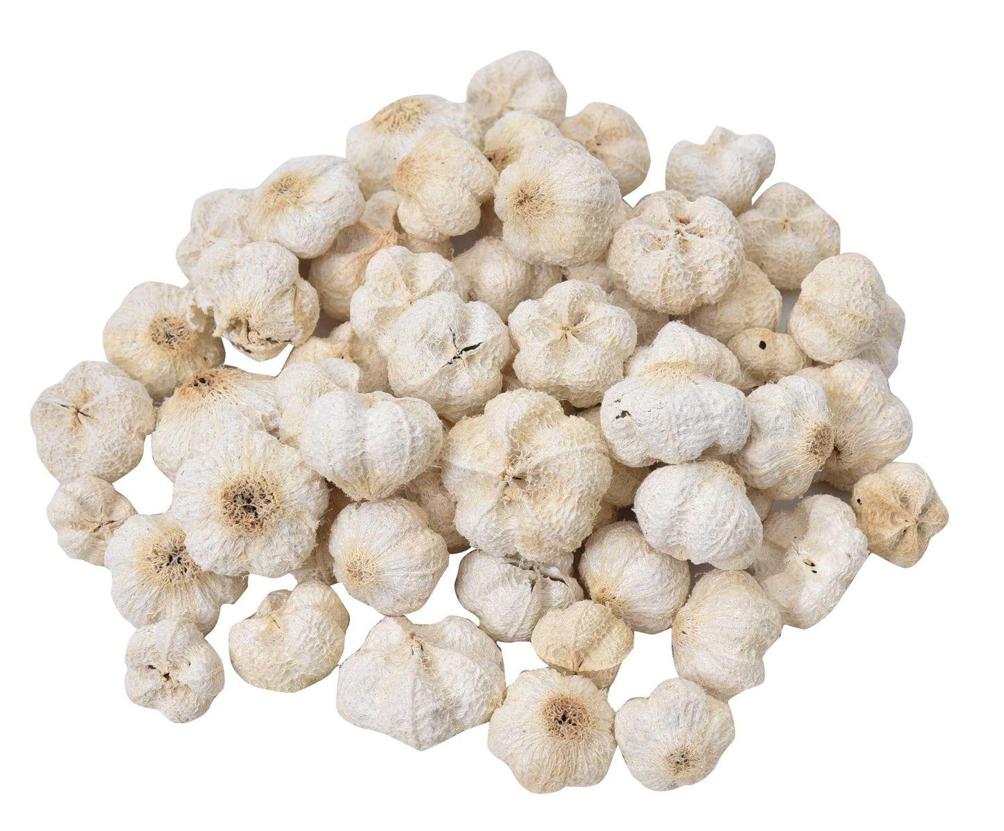 Natural Paras Pod