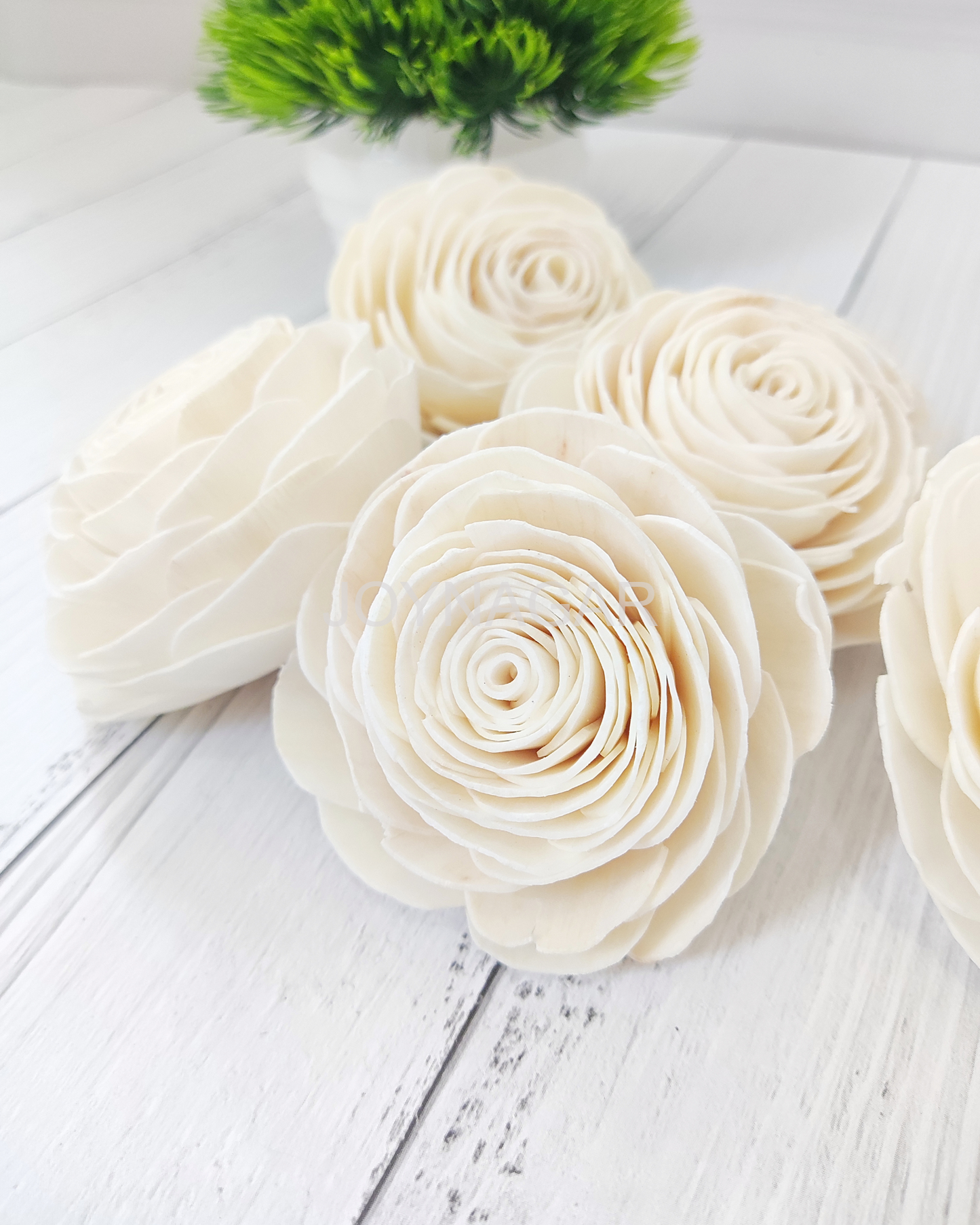 Beauty Rose Sola Wood Flower Loose