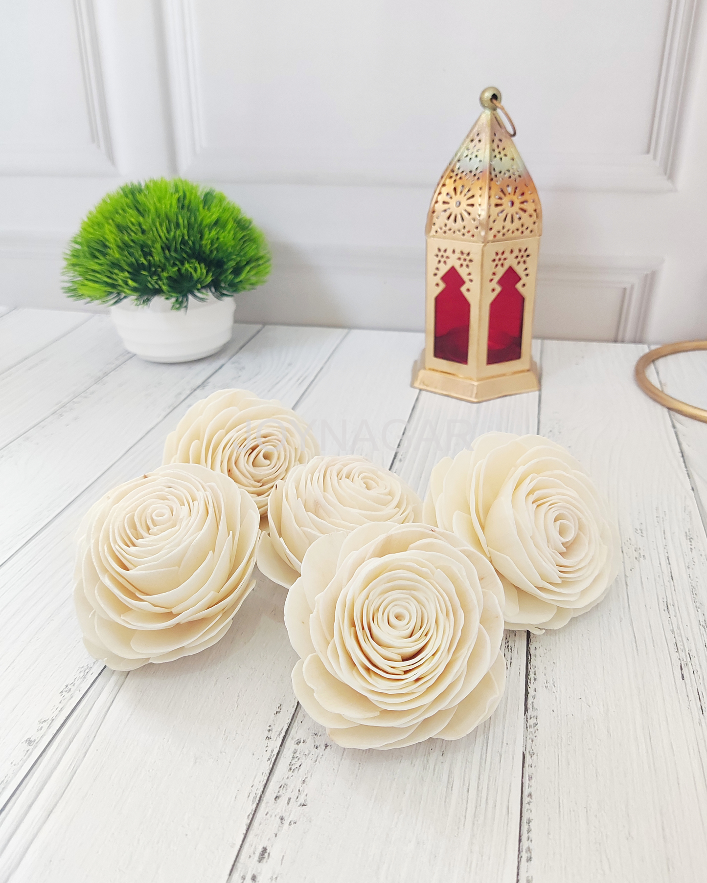 Beauty Rose Sola Wood Flower Loose