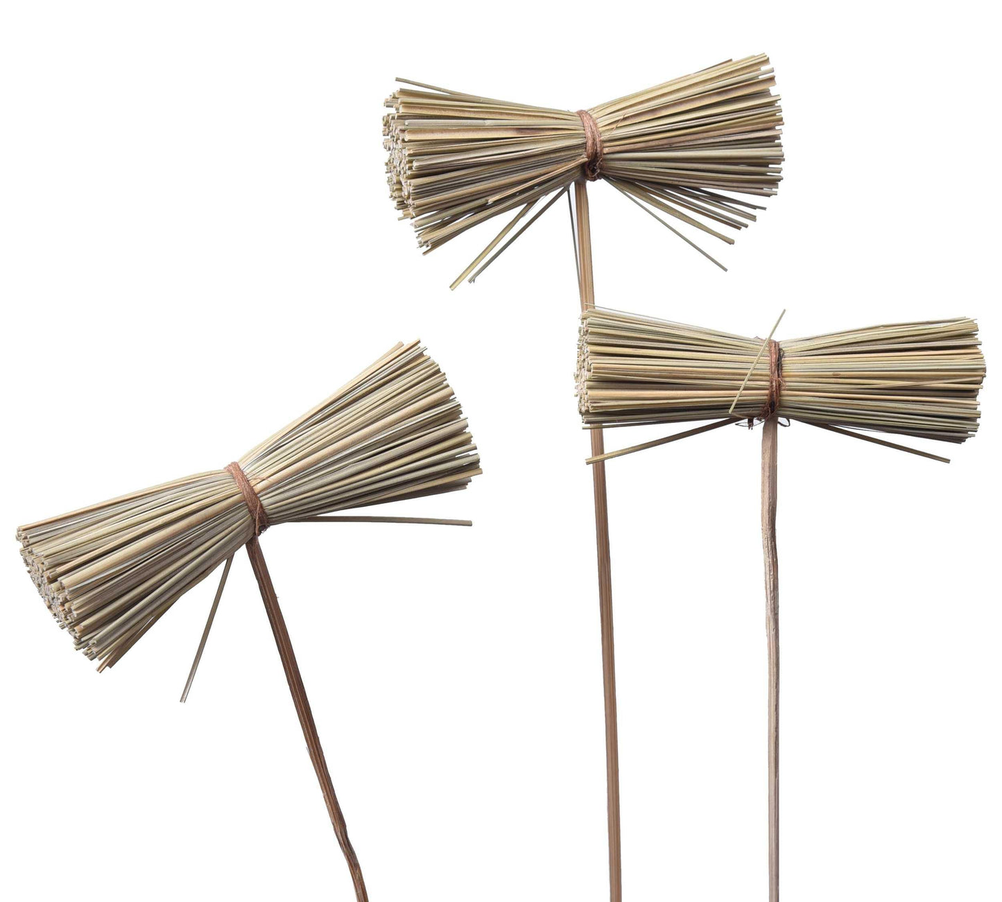 Natural Dried Grass Possy on Stem