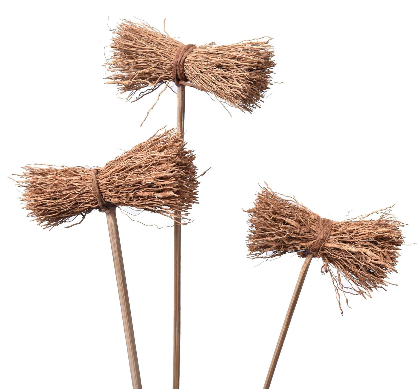 Natural Vetti Possy on Stem
