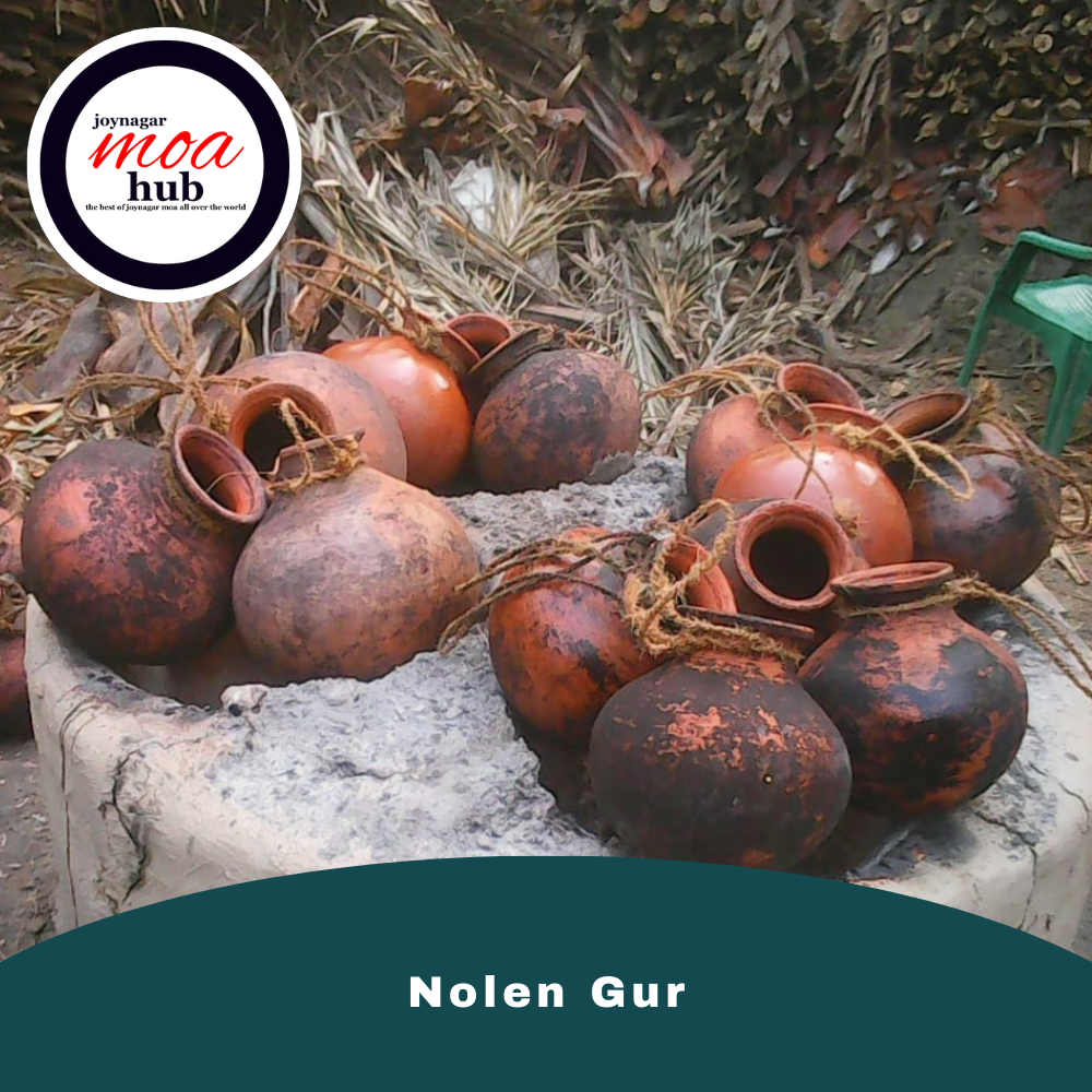 Nolen Gur Kalos
