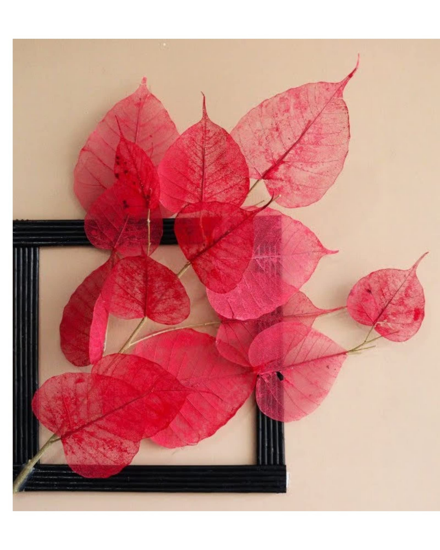 Peepal Leaf Skeleton For Craft & DIY | 100 Pcs Pack