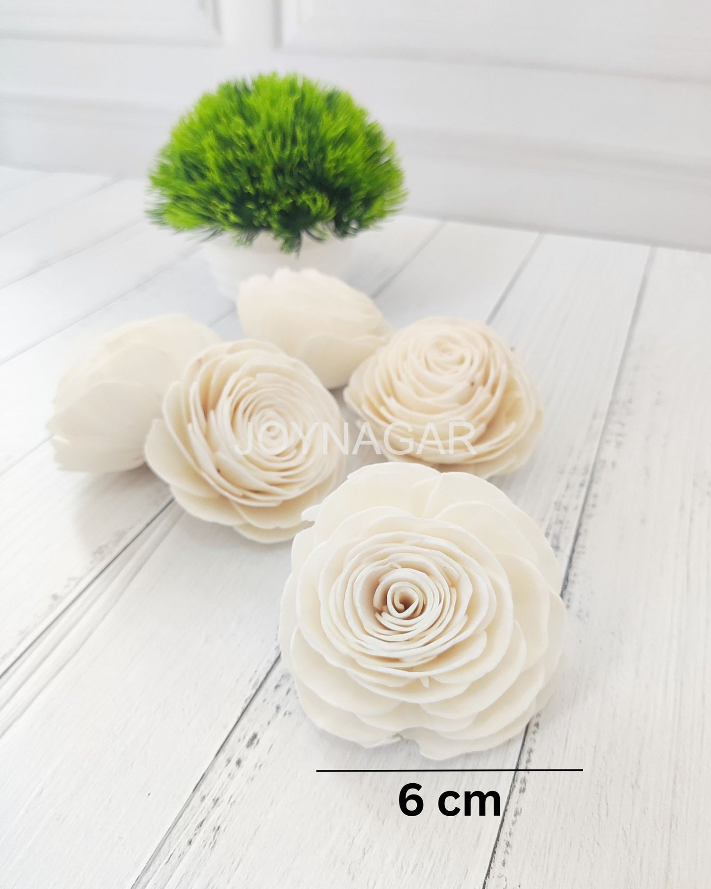 Beauty Rose Sola Wood Flower Loose