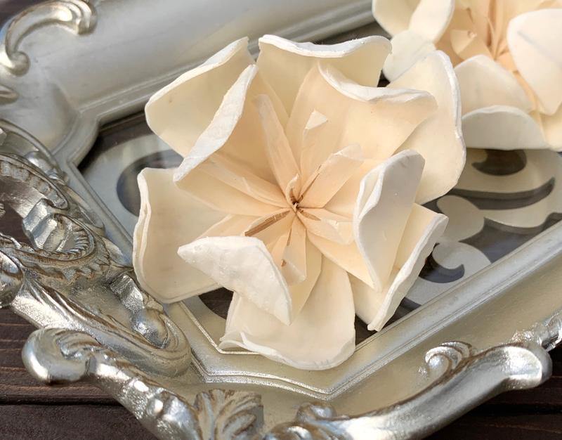 Hebe Sola Wood Flower