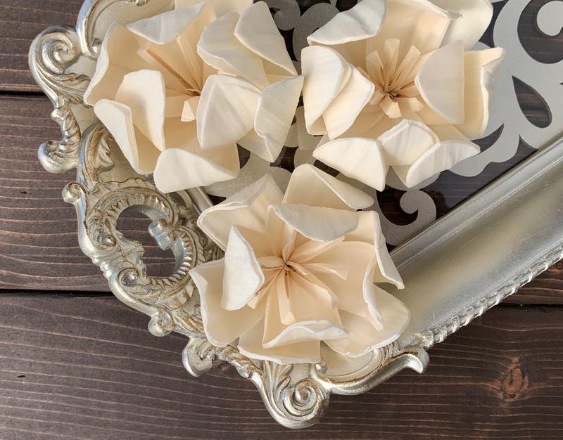 Hebe Sola Wood Flower