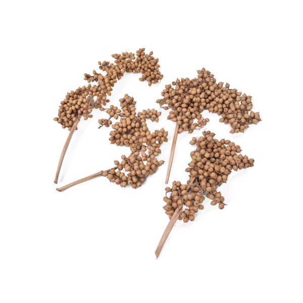 Dried Natural Canella Bunch