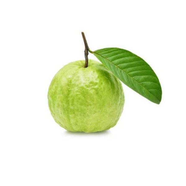 Fresh Baruipur Guava